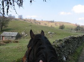 view of fields from horseback